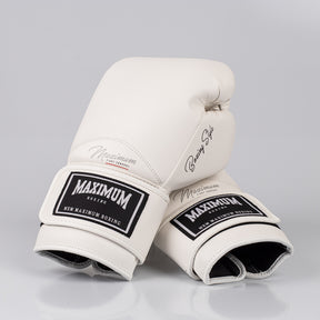 Kit Muay Thai Luva Classic Iniciante e Caneleira White