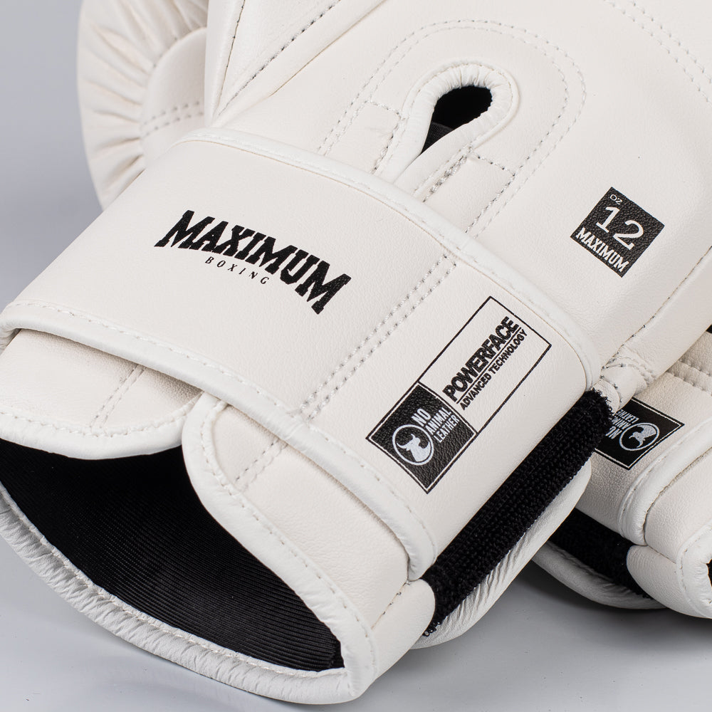 Kit Muay Thai Luva Classic Iniciante e Caneleira White