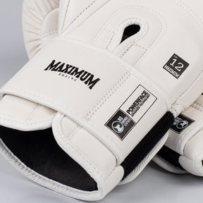 Kit Muay Thai Luva Classic Iniciante e Caneleira White