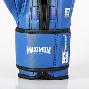 Luva de Boxe e Muay Thai MXM - Cor Azul Power Face