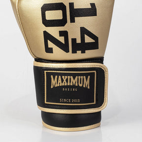 Luva de Boxe e Muay Thai Dourada/Preta Power Face - Intermediária - Maximum